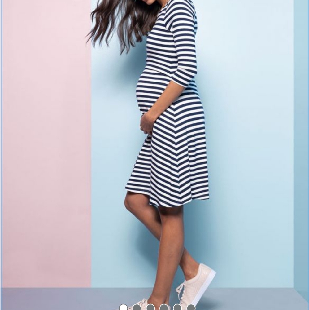 Seraphine Maternity & Nursing Dress
